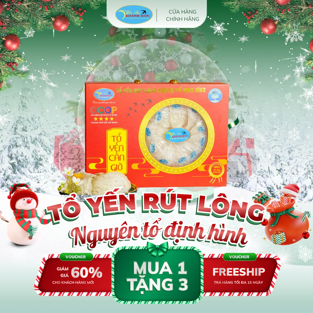 Tổ yến rút lông nguyên tổ định hình - 100gram
